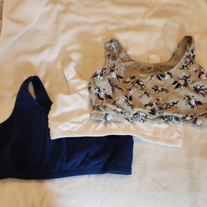 Fruit of the Loom Women's Bras - Blue, White, Floral